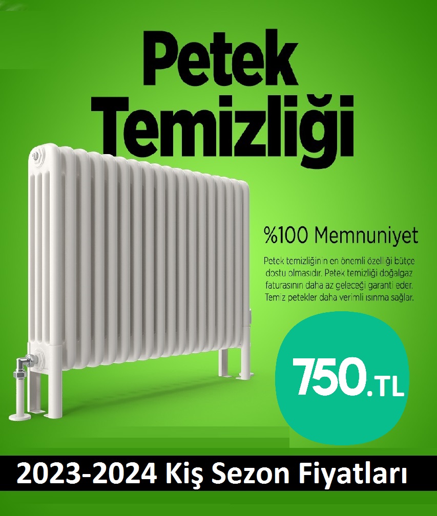 İzmit Petek Temizliği Tek Fiyat Teklifi Al